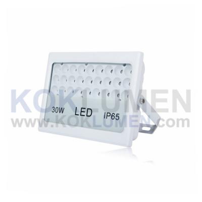 TGD-YZL1-K1-30W