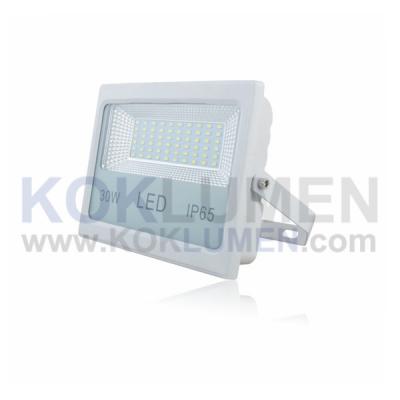 TGD-YZL1-K2-30W