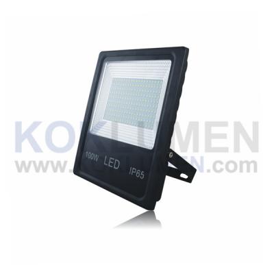 TGD-YZL1-K2-100W